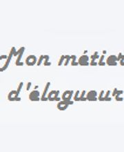 Arbres Verts Outters Outters Xavier image 11