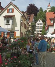 WeinHopf Bild 1