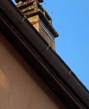 Pro Ramonage image 3