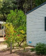 Camping Homair - La Grainetière image 2