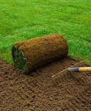 Bm Gartenservice Bild 3