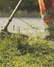 Frischgereinigt Bild 7