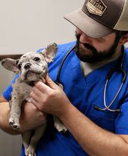 Wewoka Animal Hospital image 3