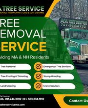 AA Tree Service image 3