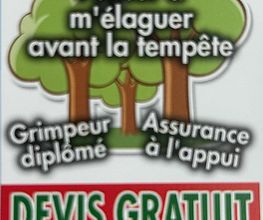 Heldebaume Elagage image 4