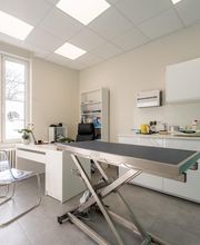 Clinique vétérinaire du Barlet - Douai - Sevetys image 7