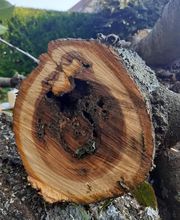 Allais et Fils image 3