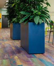 Bohny Böden AG Bild 12