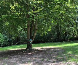 Camping des Maurois image 11