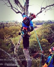 L'Arbre Remarquable image 8