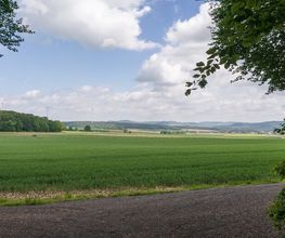 FriedWald Ohetal Bild 4