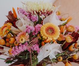 Blumen Schweizer Bild 2