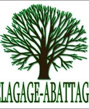 Debarre Elagage image 12