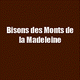 Bisons des Monts de la Madeleine