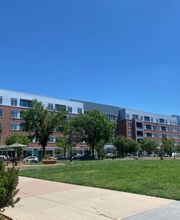 Founders Green Animal Hospital image 18