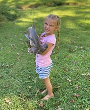 Carroll's Wildlife Taxidermy image 3