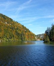 Vedettes Panoramiques du Saut du Doubs image 4