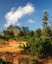 Hotel Restaurant Flyhof am Walensee Bild 10