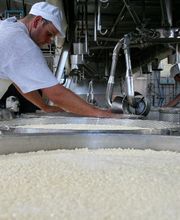 Fromagerie des Reussilles SA Bild 14