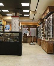 Dr. Barbara Gordeuk image 3