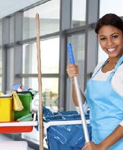 Hispaniola cleaning Bild 3