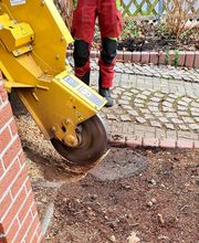 Der Gartenpionier Bild 8