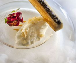 Semi-pris de Coquillages, Caviar
