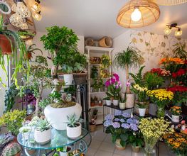 Les Fleurs de Cuers image 11
