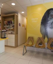 VetoSiagne Pégomas image 4