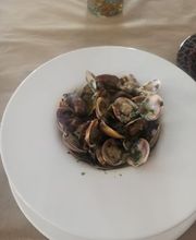 302921127-2-uDZ65NVuLQ1784272275401.jpeg