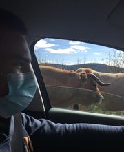 Christel Astier image 5