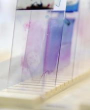 Laboratoire Victor Hugo - Spécialisé AMP - Paris 16e -  BIOGROUP PARIS OUEST image 3