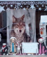 Le Salon des Stars image 12