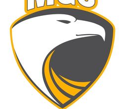 MGS&Security image 1