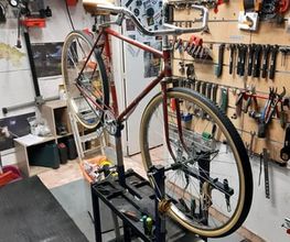 Cicloxxi2.jpg