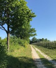 Sunrise Orchards image 4