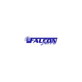 Falconferro Fabbro Pronto Intervento Serrande e Porte logo