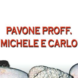 Pavone Prof. Carlo logo