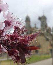 Menchu Giráldez - Psicóloga imagen 10