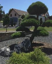 Gartengestaltung / Planung