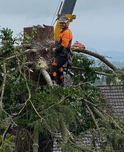 Borner Baumpflege & Gartengestaltung Bild 1