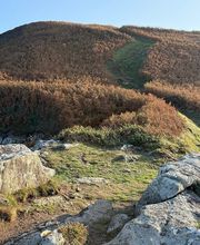 Les Sentiers de l'Energie - Stages de Jeûne et Randonnée en Bretagne image 9