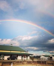 Chesdin Landing image 15