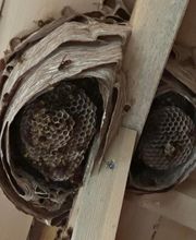 Gandolfi Frédéric image 2