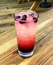 Bobcat Teddy's Icehouse image 11