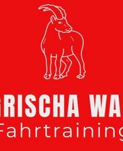 Grischa WAB Fahrtraining Bild 4
