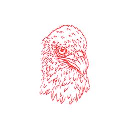 Logo der Adler-Apotheke