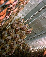secaderosBodegas.jpg