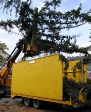 Gebrüder Straumann AG Bild 4