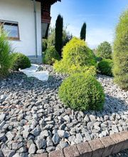 Landschaftspflege & Gartenbau Manuel Alten Bild 2